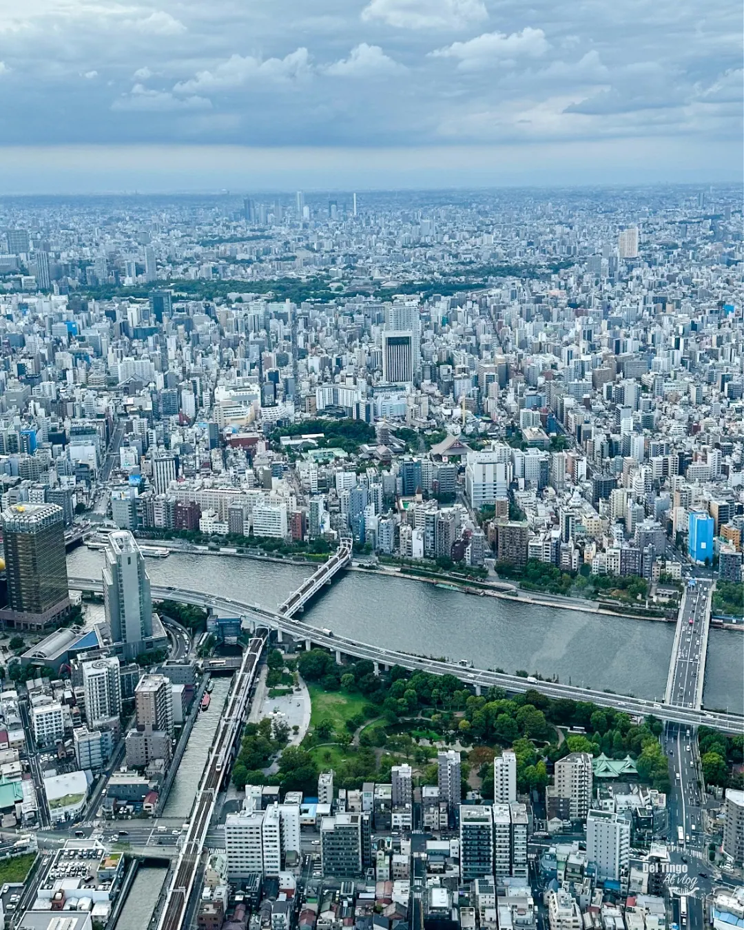 Esto es lo que compras: el río Sumida, los puentes y Tokio hasta el horizonte, desde el Tembo Deck