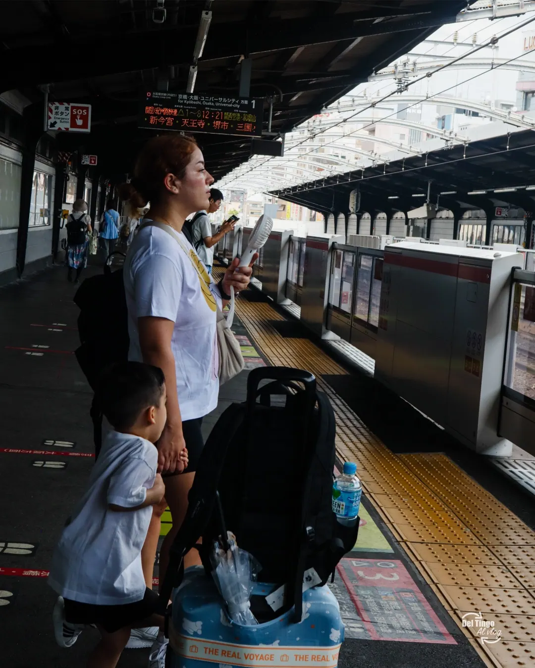 Cómo viajar de Osaka a Tokio en Shinkansen con familia: precio real, tipos de tren y consejos prácticos (2026)