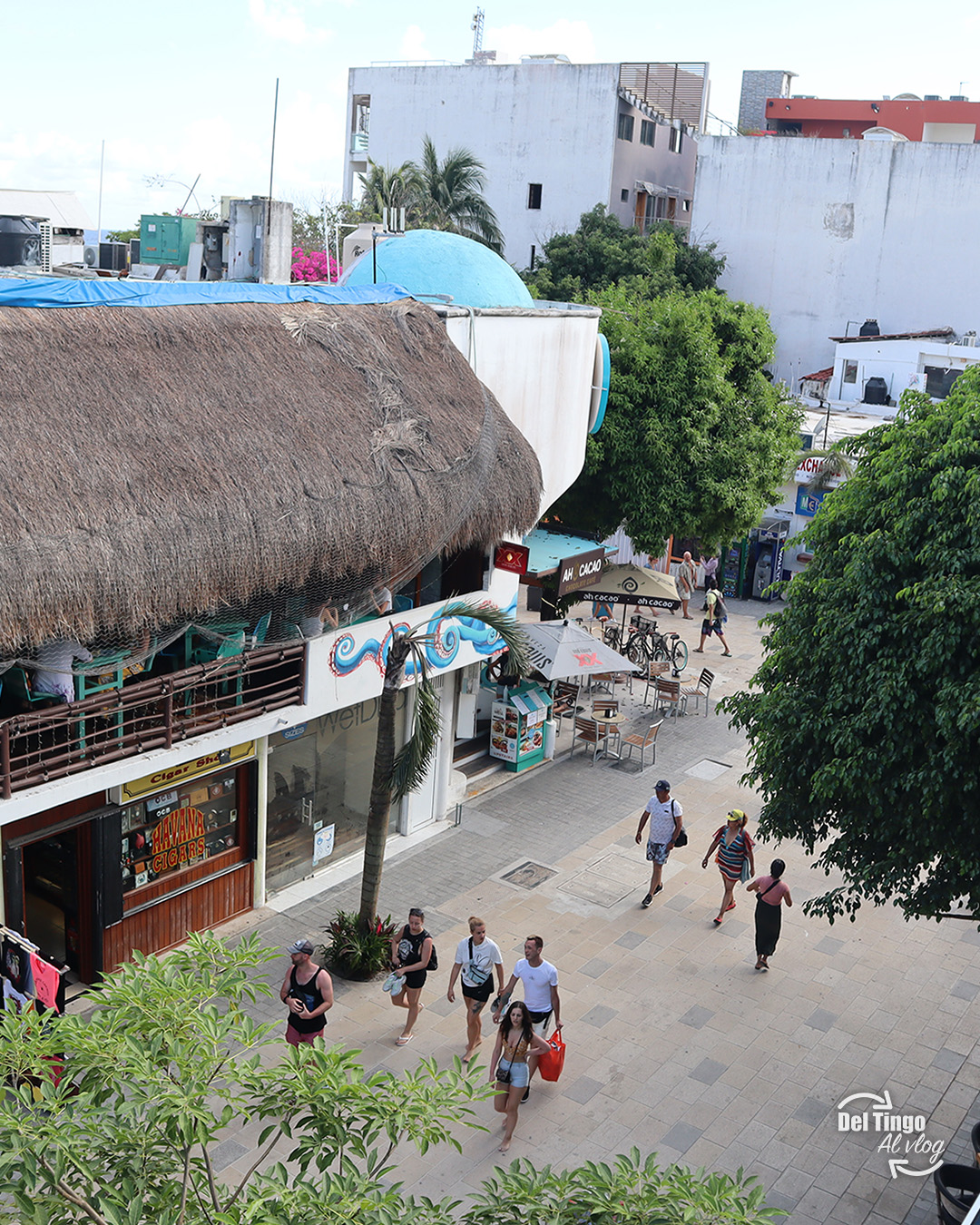 Guía de Playa del Carmen para un viaje en familia